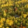 3721 Forest Ln, , Conover,  WI 54519 USA