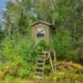 4675 Coveyville Rd, , Phelps,  WI 54554 USA