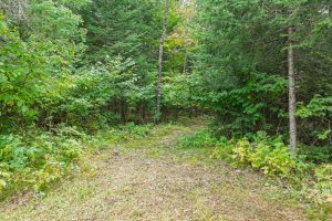 4675 Coveyville Rd, , Phelps,  WI 54554 USA