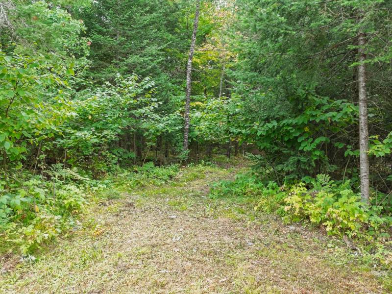 4675 Coveyville Rd, , Phelps,  WI 54554 USA