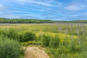 4675 Coveyville Rd, , Phelps,  WI 54554 USA