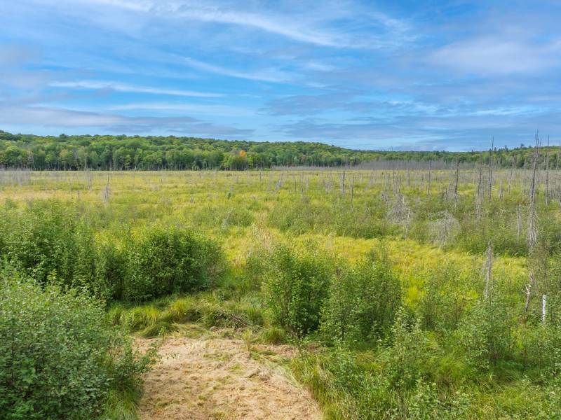 4675 Coveyville Rd, , Phelps,  WI 54554 USA