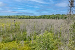 4675 Coveyville Rd, , Phelps,  WI 54554 USA
