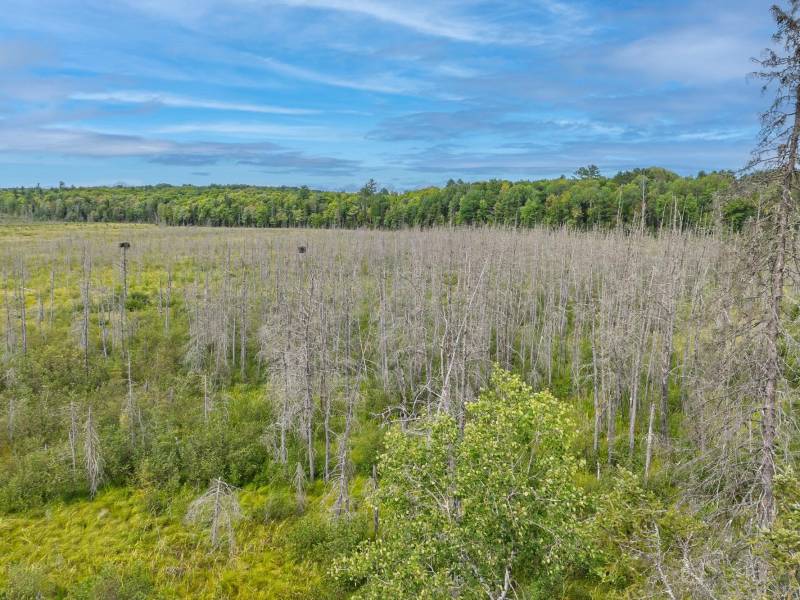 4675 Coveyville Rd, , Phelps,  WI 54554 USA