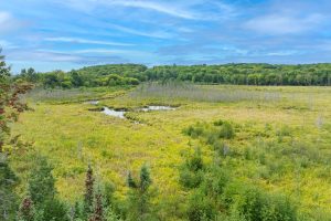 4675 Coveyville Rd, , Phelps,  WI 54554 USA