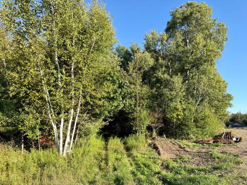 60ac On Hwy 107, , Tomahawk,  WI 54487 USA