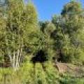 60ac On Hwy 107, , Tomahawk,  WI 54487 USA