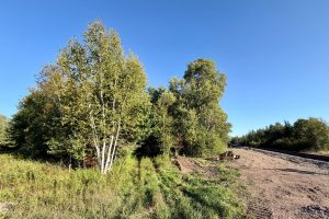 60ac On Hwy 107, , Tomahawk,  WI 54487 USA