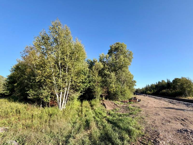 60ac On Hwy 107, , Tomahawk,  WI 54487 USA