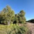 60ac On Hwy 107, , Tomahawk,  WI 54487 USA