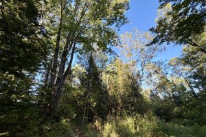 60ac On Hwy 107, , Tomahawk,  WI 54487 USA