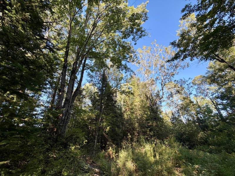 60ac On Hwy 107, , Tomahawk,  WI 54487 USA