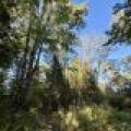 60ac On Hwy 107, , Tomahawk,  WI 54487 USA