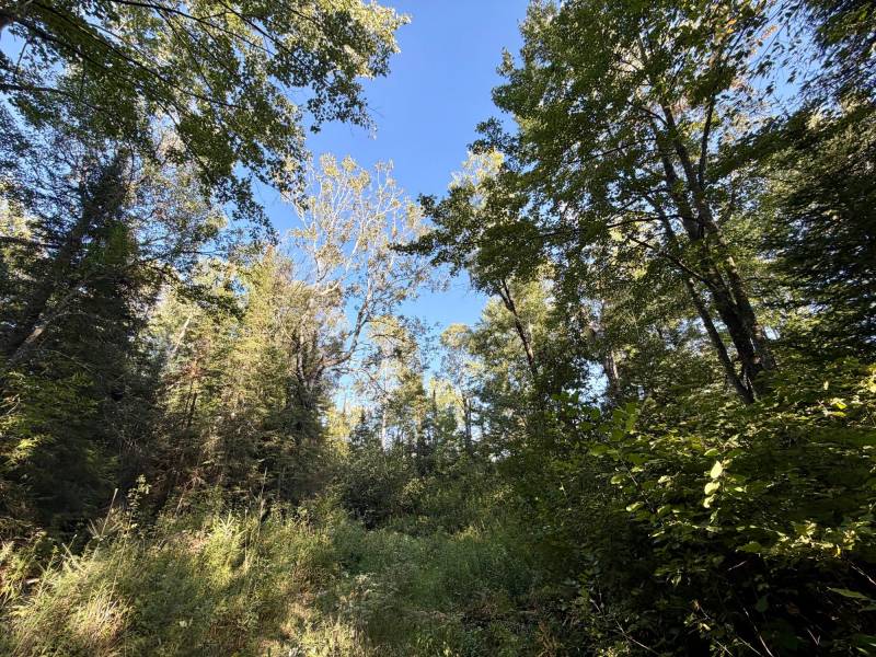60ac On Hwy 107, , Tomahawk,  WI 54487 USA