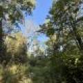 60ac On Hwy 107, , Tomahawk,  WI 54487 USA