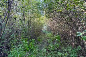 60ac On Hwy 107, , Tomahawk,  WI 54487 USA