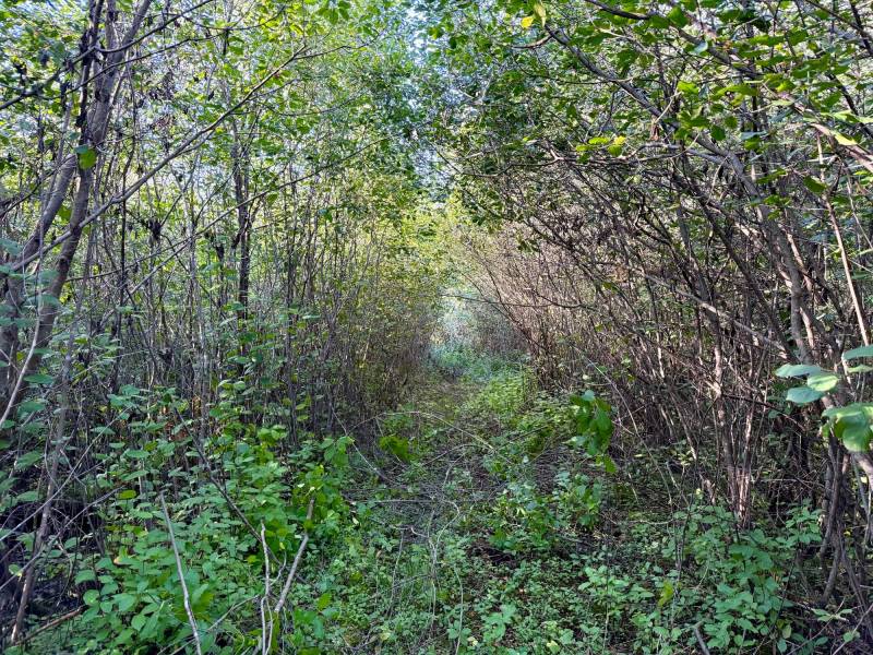 60ac On Hwy 107, , Tomahawk,  WI 54487 USA