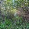 60ac On Hwy 107, , Tomahawk,  WI 54487 USA