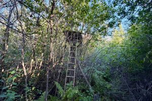 60ac On Hwy 107, , Tomahawk,  WI 54487 USA