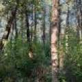 60ac On Hwy 107, , Tomahawk,  WI 54487 USA