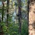 60ac On Hwy 107, , Tomahawk,  WI 54487 USA