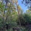 60ac On Hwy 107, , Tomahawk,  WI 54487 USA