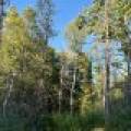 60ac On Hwy 107, , Tomahawk,  WI 54487 USA