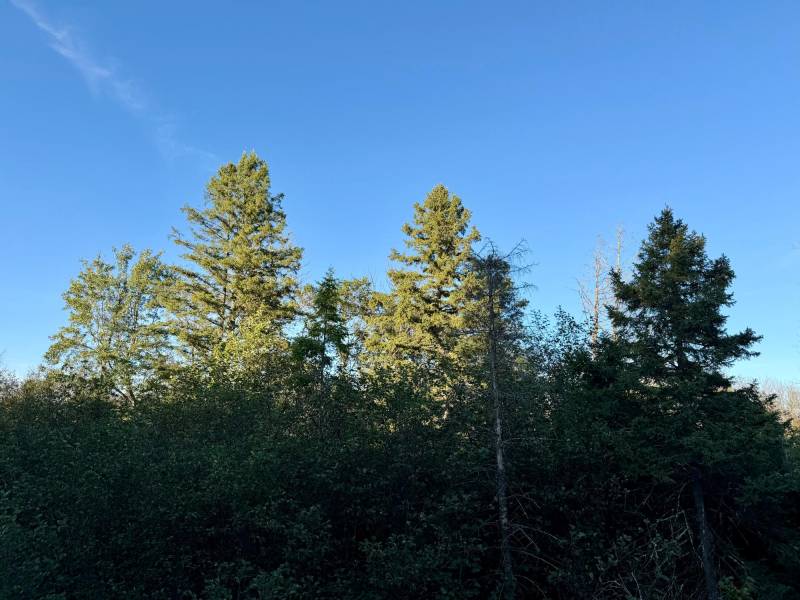 60ac On Hwy 107, , Tomahawk,  WI 54487 USA