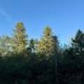 60ac On Hwy 107, , Tomahawk,  WI 54487 USA