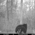 60ac On Hwy 107, , Tomahawk,  WI 54487 USA