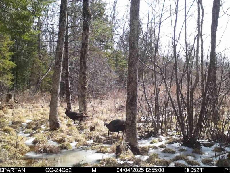 60ac On Hwy 107, , Tomahawk,  WI 54487 USA