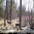 60ac On Hwy 107, , Tomahawk,  WI 54487 USA