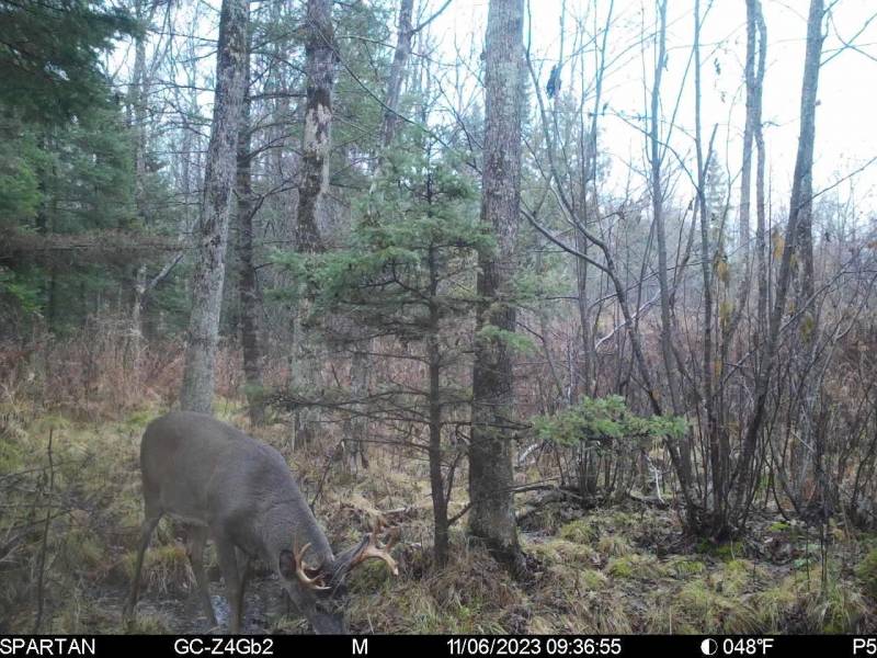 60ac On Hwy 107, , Tomahawk,  WI 54487 USA