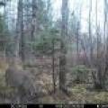 60ac On Hwy 107, , Tomahawk,  WI 54487 USA