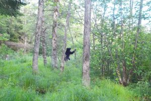 60ac On Hwy 107, , Tomahawk,  WI 54487 USA