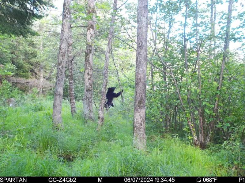 60ac On Hwy 107, , Tomahawk,  WI 54487 USA