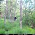 60ac On Hwy 107, , Tomahawk,  WI 54487 USA