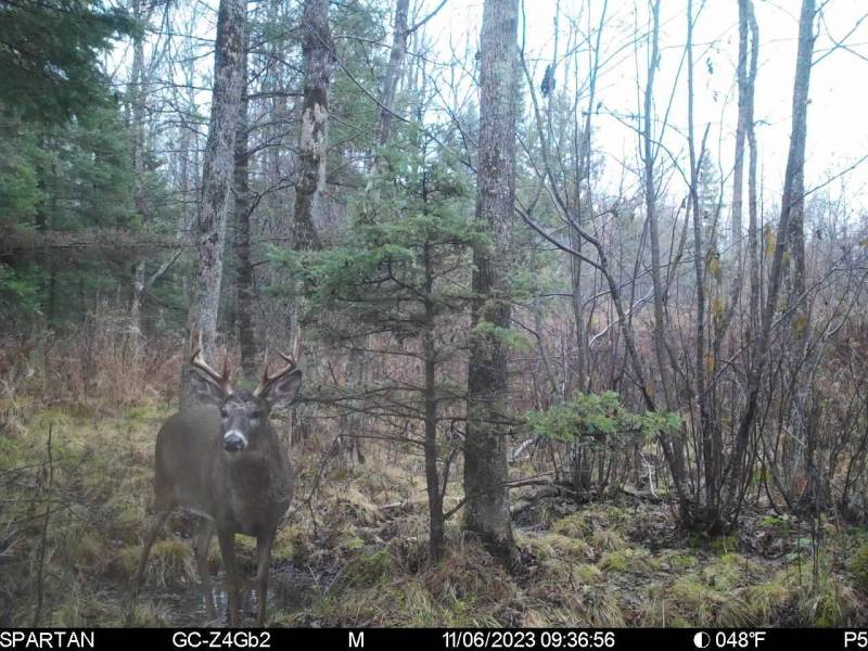 60ac On Hwy 107, , Tomahawk,  WI 54487 USA