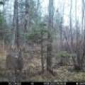 60ac On Hwy 107, , Tomahawk,  WI 54487 USA