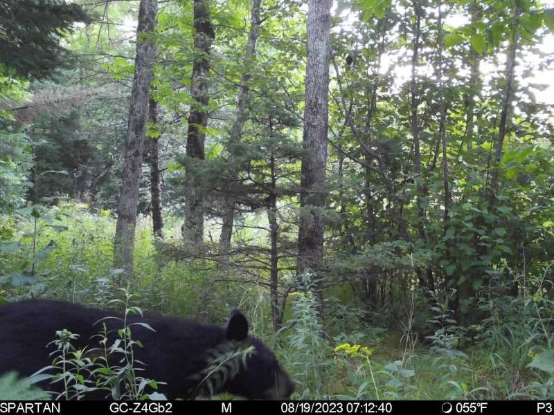 60ac On Hwy 107, , Tomahawk,  WI 54487 USA
