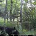 60ac On Hwy 107, , Tomahawk,  WI 54487 USA
