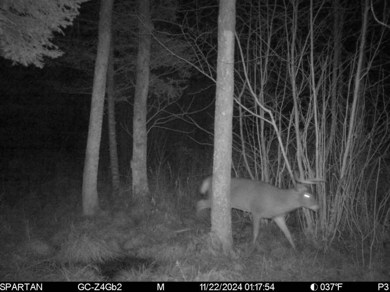 60ac On Hwy 107, , Tomahawk,  WI 54487 USA