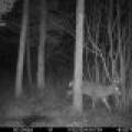 60ac On Hwy 107, , Tomahawk,  WI 54487 USA