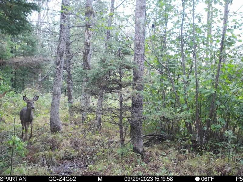 60ac On Hwy 107, , Tomahawk,  WI 54487 USA