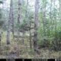 60ac On Hwy 107, , Tomahawk,  WI 54487 USA