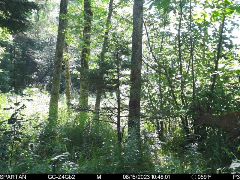 60ac On Hwy 107, , Tomahawk,  WI 54487 USA