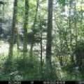 60ac On Hwy 107, , Tomahawk,  WI 54487 USA
