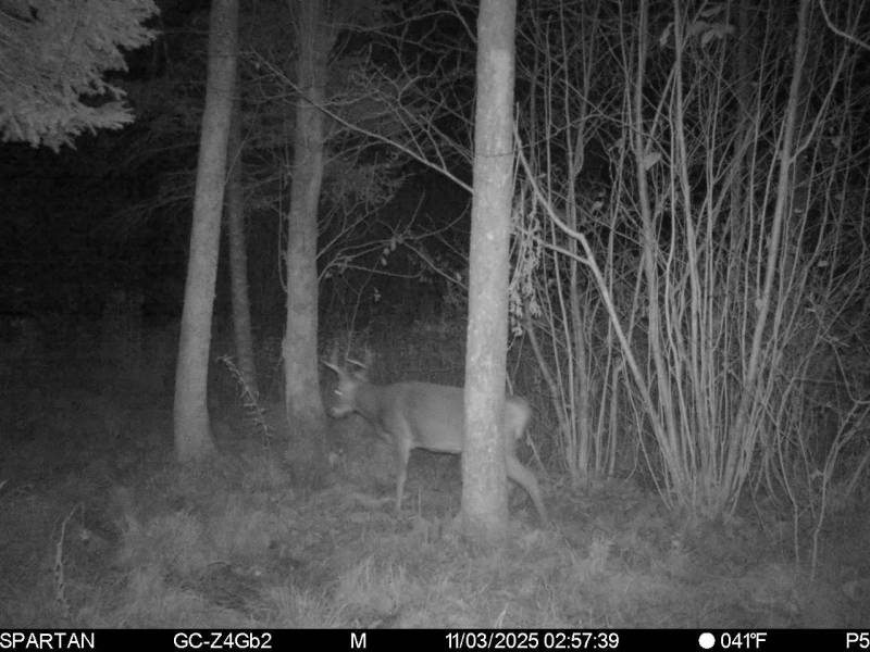 60ac On Hwy 107, , Tomahawk,  WI 54487 USA
