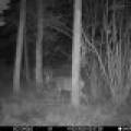 60ac On Hwy 107, , Tomahawk,  WI 54487 USA
