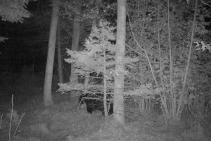 60ac On Hwy 107, , Tomahawk,  WI 54487 USA